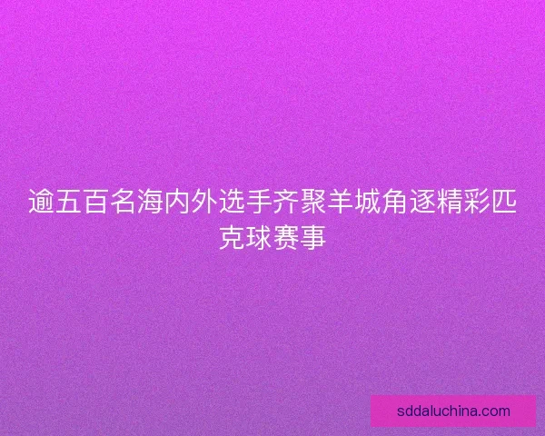 逾五百名海内外选手齐聚羊城角逐精彩匹克球赛事