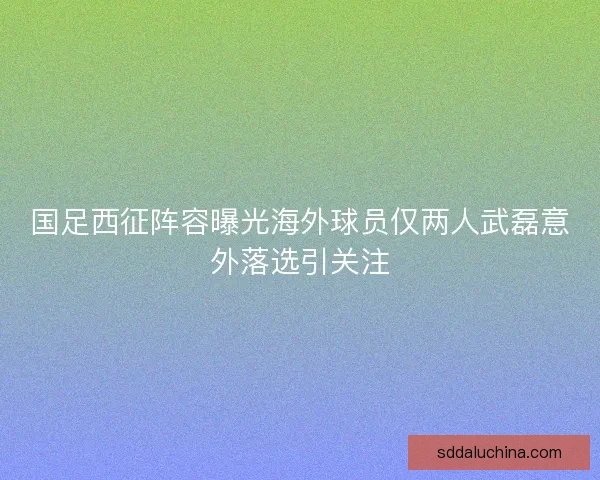 国足西征阵容曝光海外球员仅两人武磊意外落选引关注