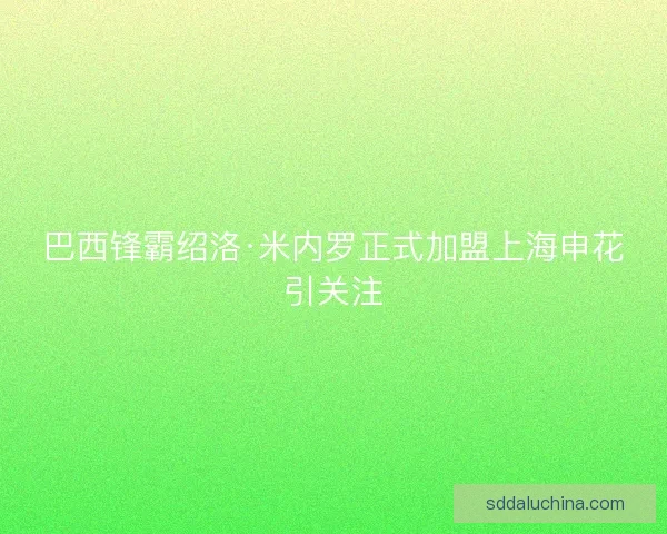 巴西锋霸绍洛·米内罗正式加盟上海申花引关注